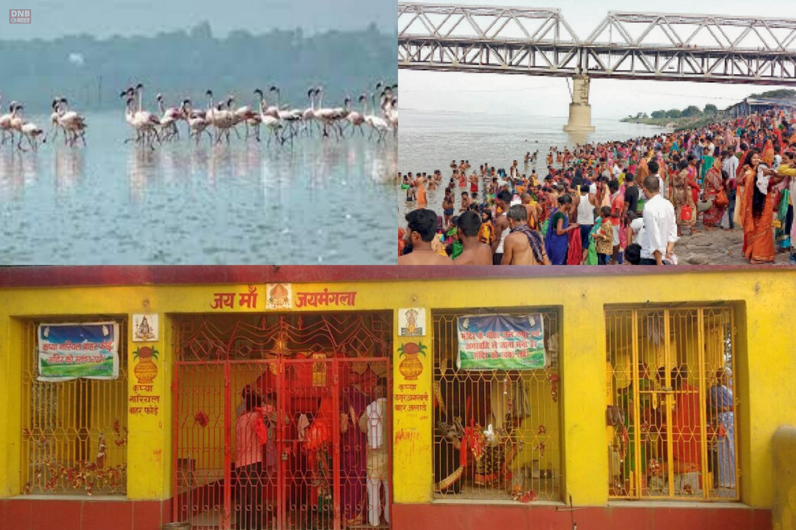 बेगूसराय ने पूरा किया अपना 50 वर्ष, गौरवशाली रहा है इतिहास 2