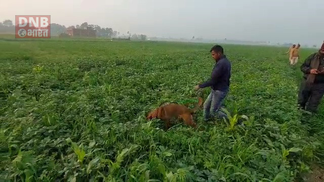 बछवाड़ा के विभिन्न क्षेत्र में उत्पाद विभाग की छापेमारी, डाॅग स्क्वाड टीम भी रही मौजूद 2