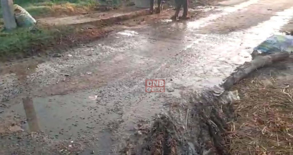 समस्तीपुर वार्ड नंबर छह में साफ सफाई नहीं होने जगह जगह लगा गंदगी का अंबार, गंदगी एवं बदबू से लोगो के स्वास्थ्य के प्रति चिंता,वार्ड के निवासी हो रहे है परेशान 4