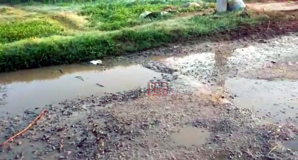 समस्तीपुर वार्ड नंबर छह में साफ सफाई नहीं होने जगह जगह लगा गंदगी का अंबार, गंदगी एवं बदबू से लोगो के स्वास्थ्य के प्रति चिंता,वार्ड के निवासी हो रहे है परेशान 5