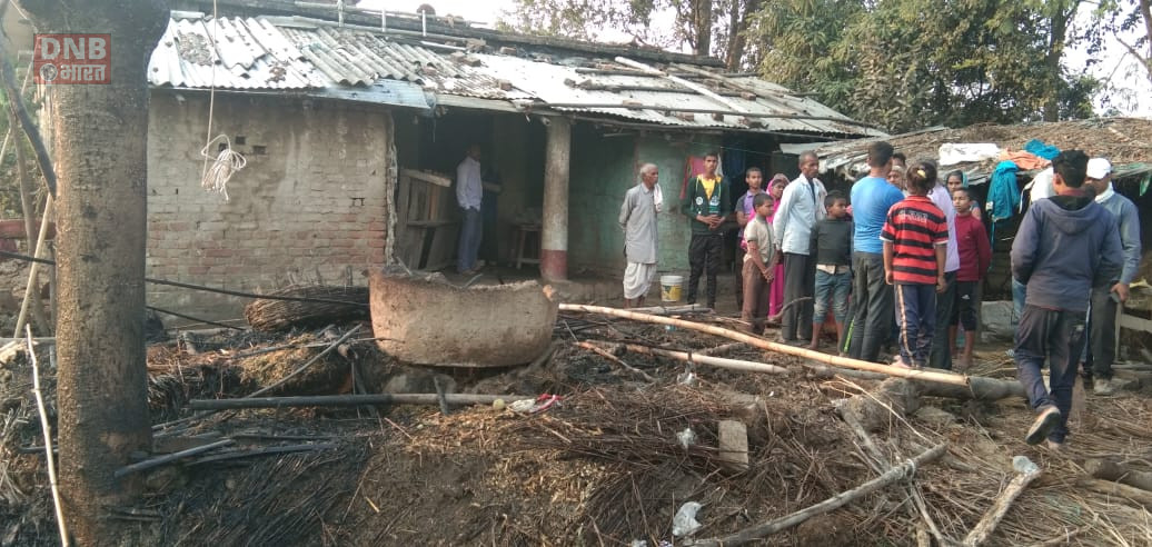 भगवानपुर गाय के गौहाल में लगी आग, दो गाय बुरी तरह झुलसे 2