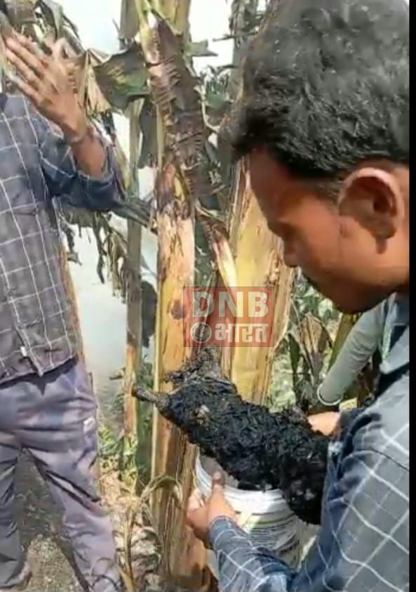 समस्तीपुर में आग लगने से पांच घर समेत हजारो की संपति जलाकर राख,आग में झुलसकर एक मासूम की दर्दनाक मौत 4