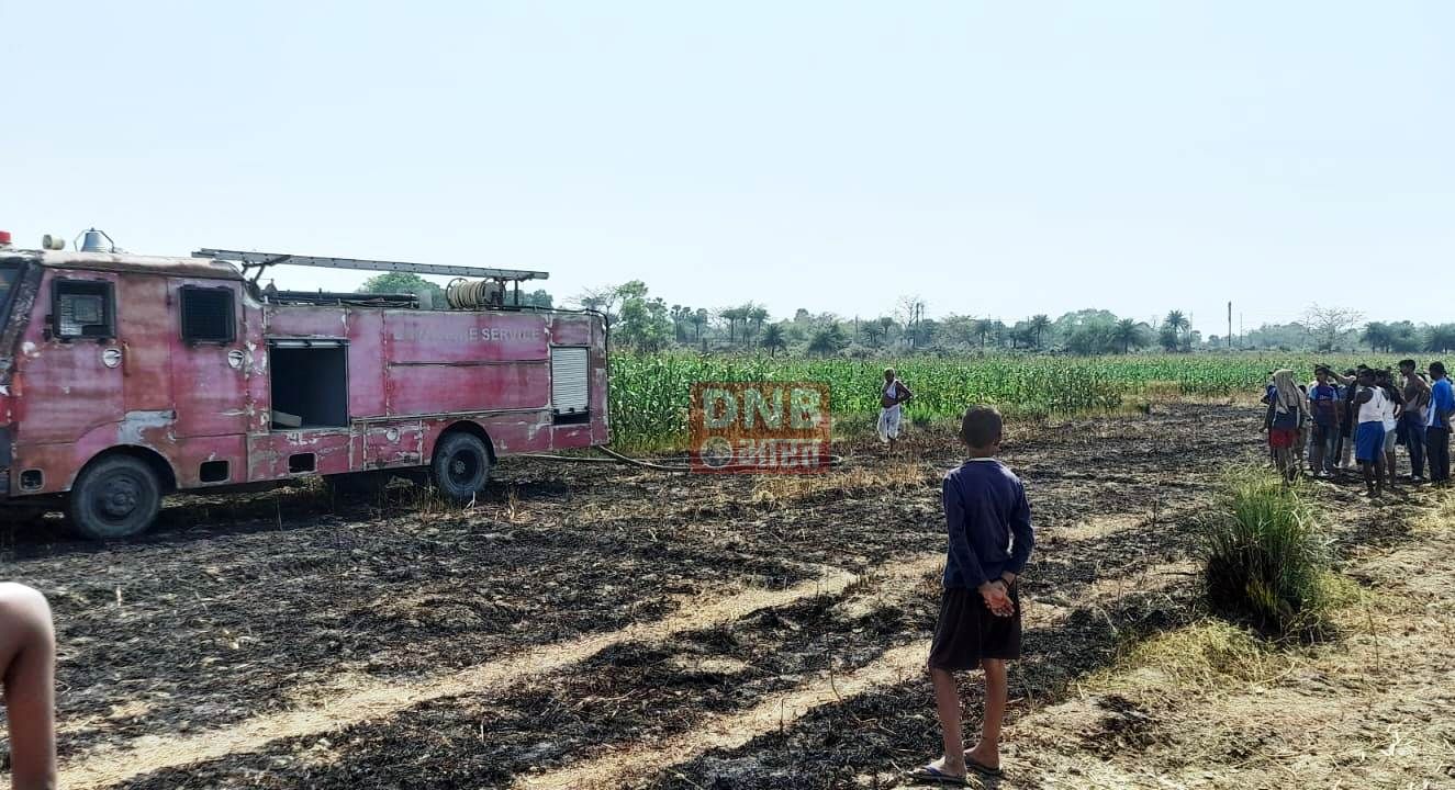 भगवानपुर प्रखंड में अलग अलग आग लगने की घटना में एक घर समेत तीन एकड़ में लगी गेंहूँ की फसल जलकर राख 2