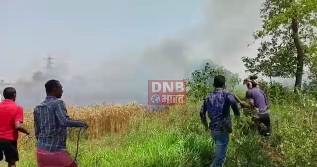 साहेबपुरकमाल में गेहूं के खेत में लगी भीषण आग, 4 बीघा गेहूं का तैयार फसल जलकर खाक 2