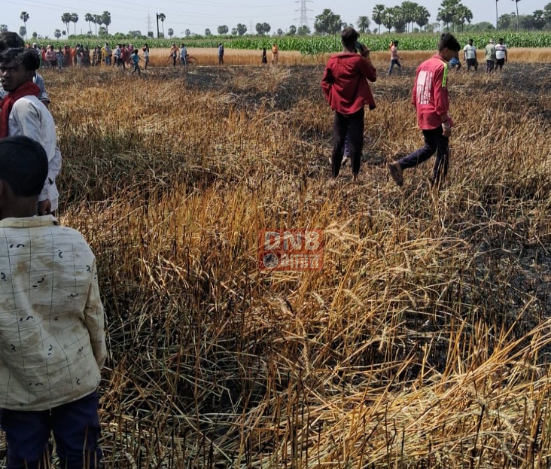 गेहूं की तैयार फसल में लगी आग, किसानों में हहाकार 3