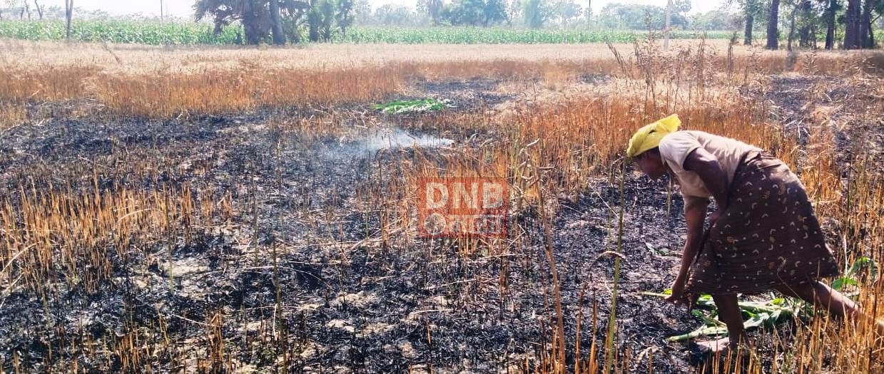 भगवानपुर थाना क्षेत्र के लखनपुर बहियार में आग लगने से चार किसानों के गेहूं की फसल जलकर राख 3