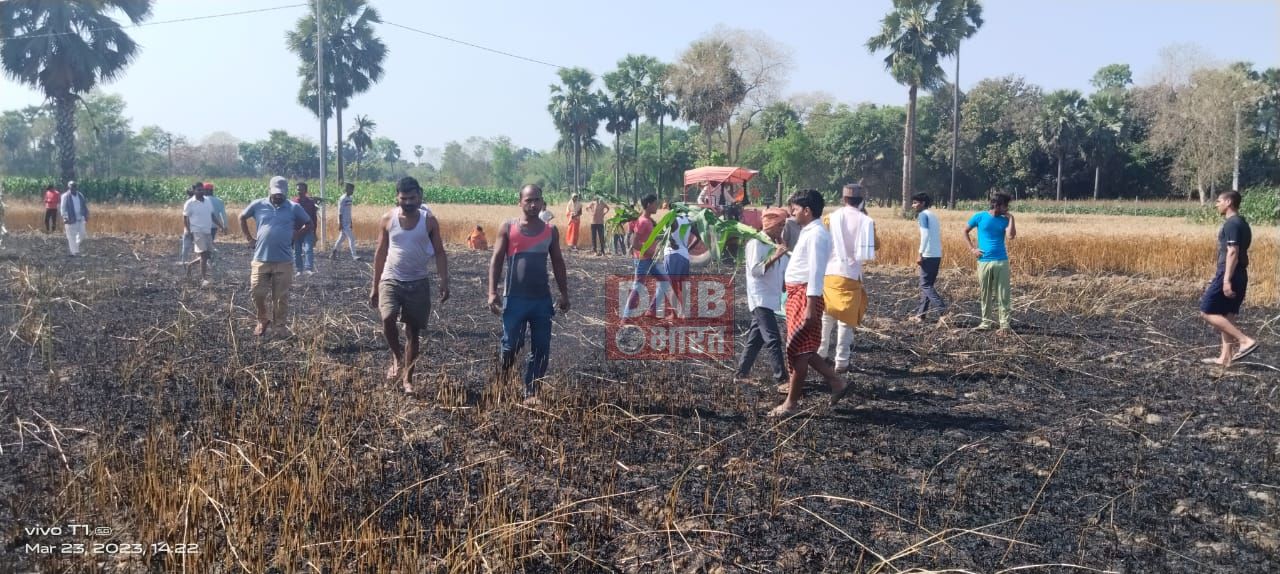 भगवानपुर थाना क्षेत्र के लखनपुर बहियार में आग लगने से चार किसानों के गेहूं की फसल जलकर राख 2