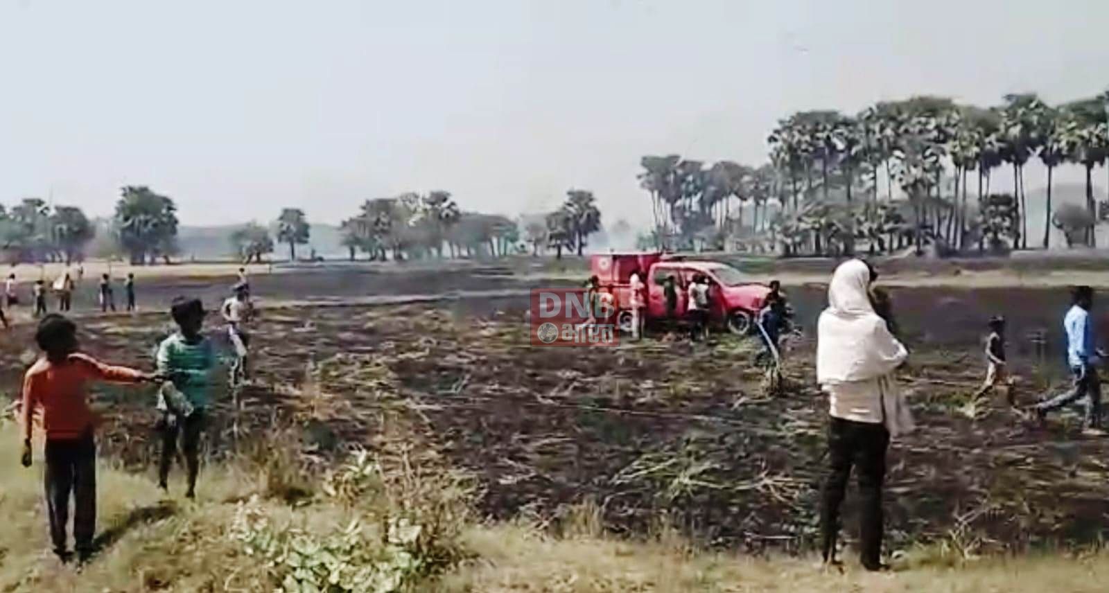 नालंदा जिले में आग लगने से 30 बीघा खेतों में लगी गेहूं की फसल जलकर राख 3