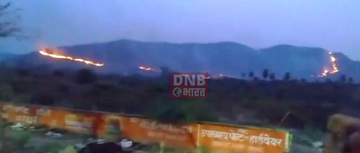राजगीर के पंच पहाड़ियों में लगी भीषण आग,महत्वपूर्ण जड़ी-बूटी एवं पेड़ पौधों का भारी नुकसान 3