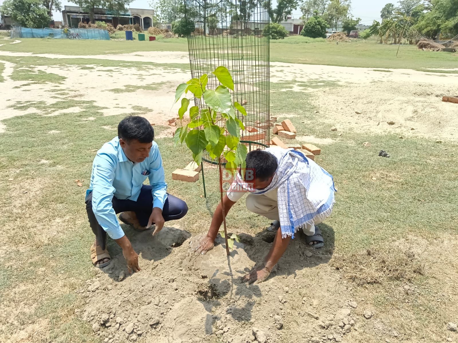 खोदावंदपुर में शिक्षक एवं बच्चों ने पौधे लगाकर पर्यावरण संरक्षण का लिया संकल्प 2