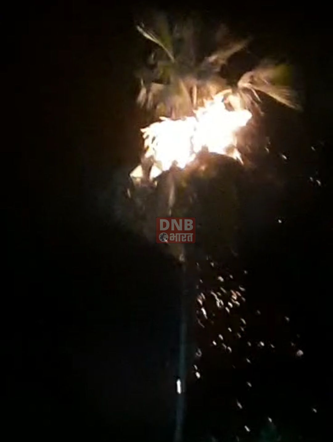 बरौनी में शादी समारोह के दौरान आतिशबाजी में तार गाछ में लगी आग, बड़ा हादसा टला 3