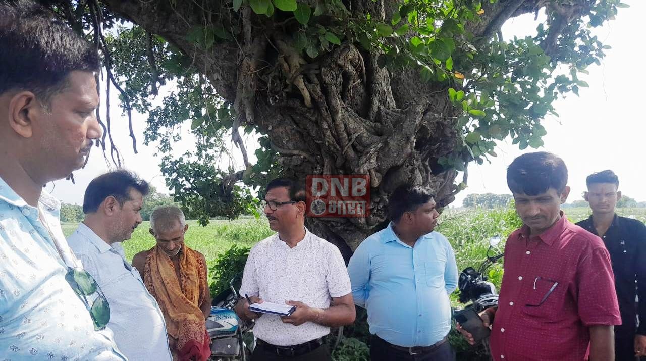 जिला कृषि पदाधिकारी समेत पदाधिकारियों की टीम ने बछवाड़ा प्रखंड क्षेत्र का किया दौरा, धान की खेती की स्थिति का लिया जायजा 3