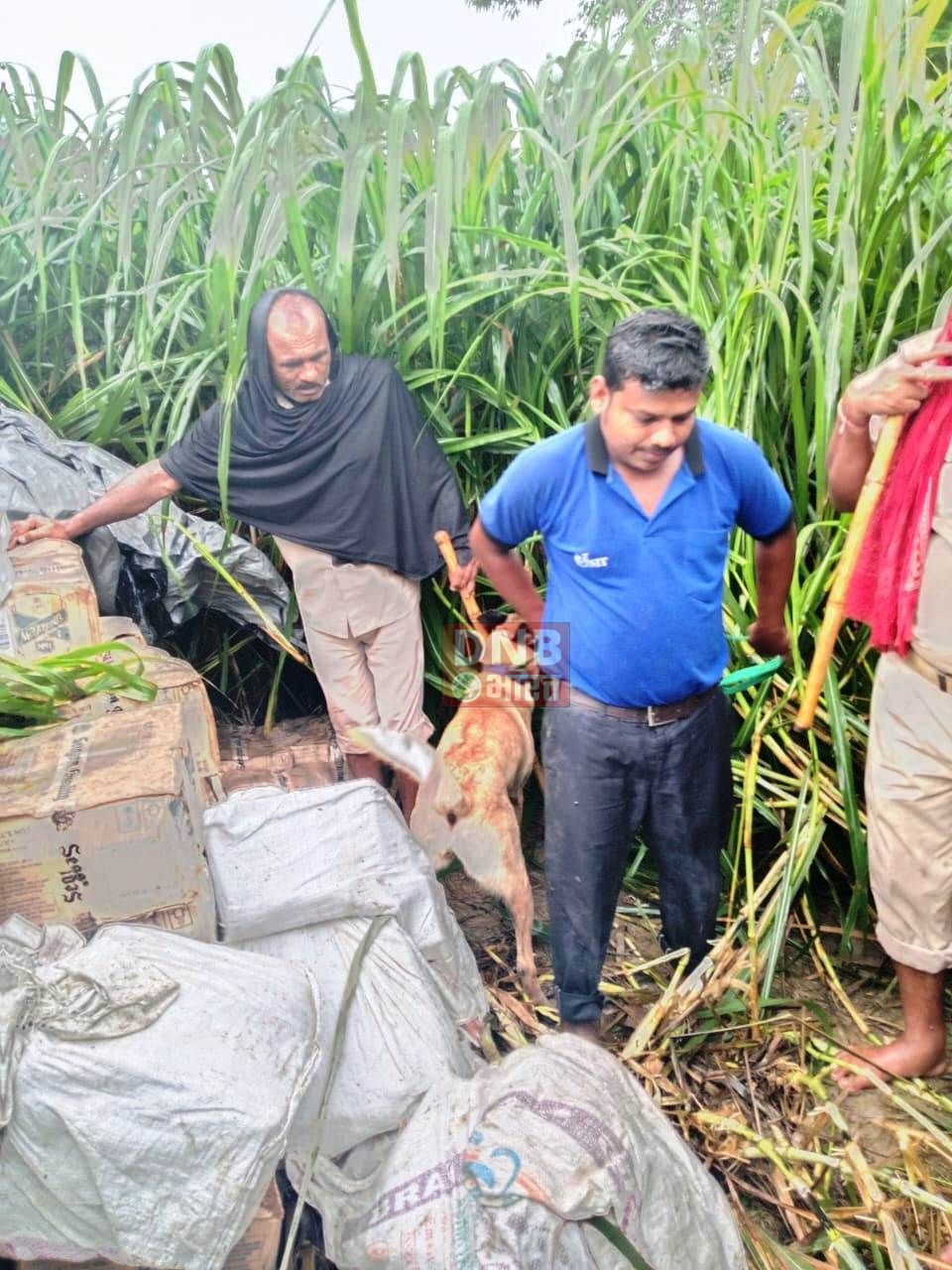 बछवाड़ा के चिरंजीवीपुर बहियार में छापेमारी कर उत्पाद विभाग बेगूसराय की टीम ने भारी मात्रा में अवैध विदेशी शराब किया बरामद 3