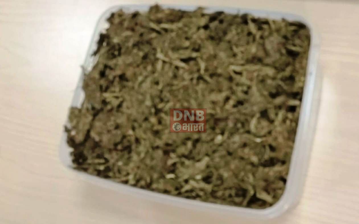 नालंदा में वाहन चेकिंग के दौरान पुलिस ने एक किलो गांजा के साथ एक तस्कर को किया गिरफ्तार 2