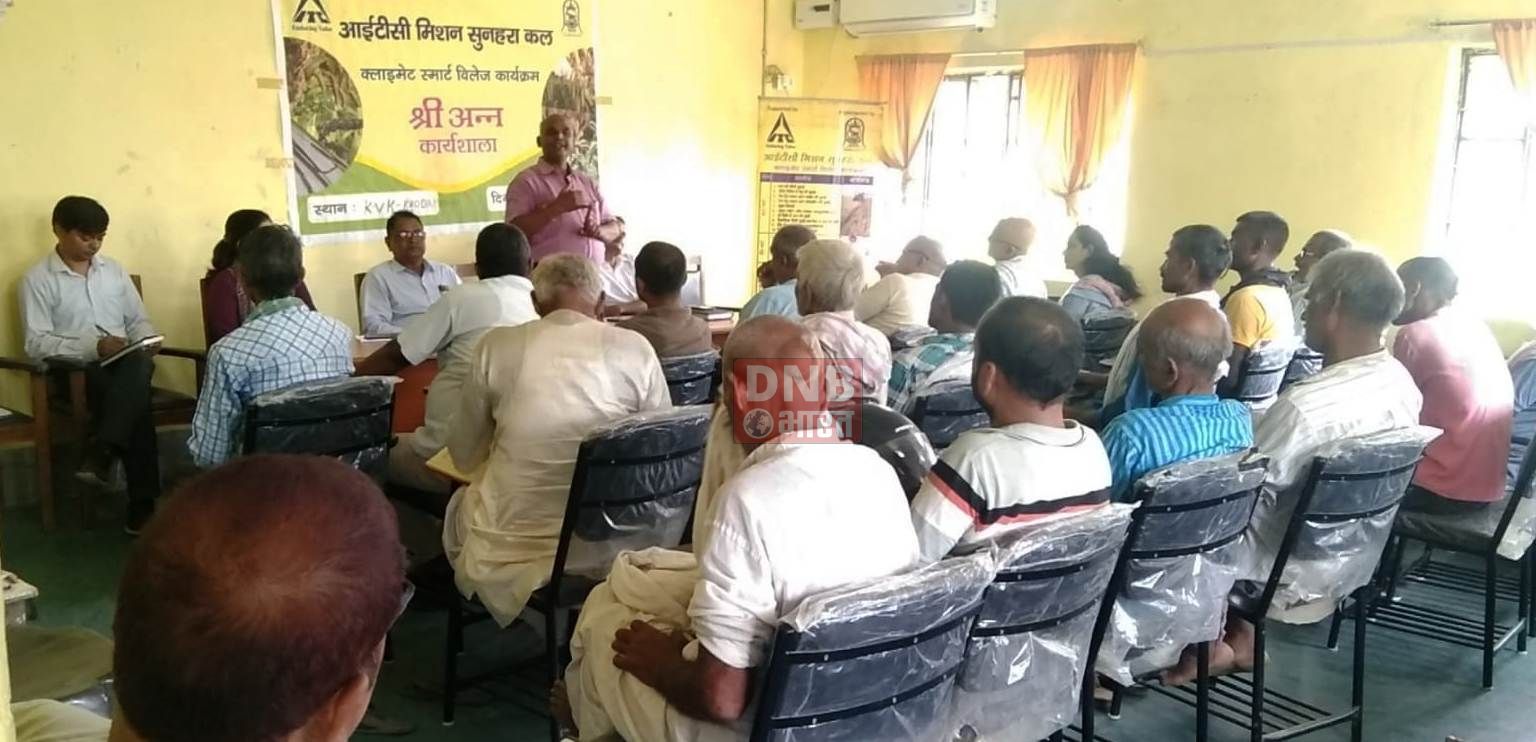 रबी मौसम में ज्यादा से ज्यादा मिलेटस की बुआई करें किसान 3