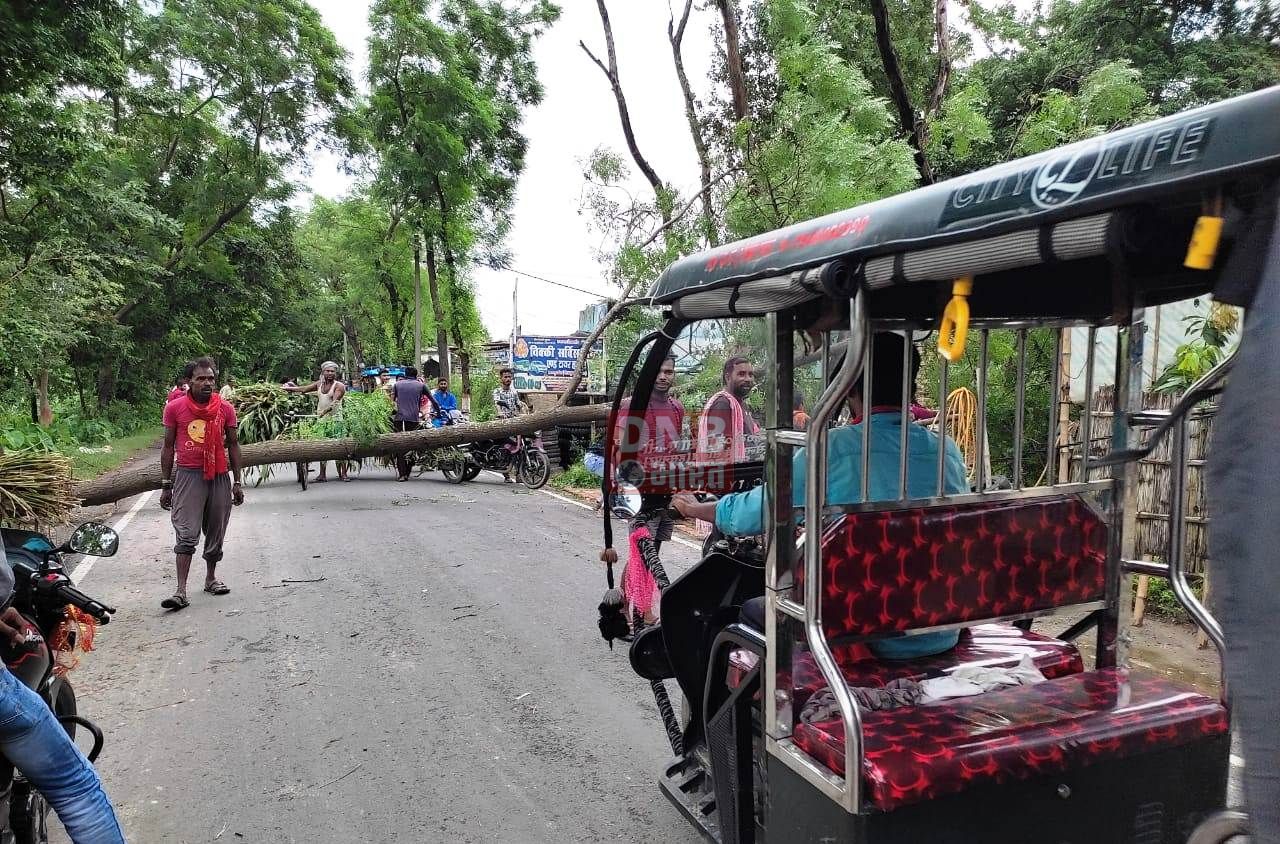 बेगूसराय में मूसलाधार बारिश से जन जीवन अस्त व्यस्त,दौलतपुर में दुकान पर गिरा पेड़,एक घंटे तक यातायात बाधित 2