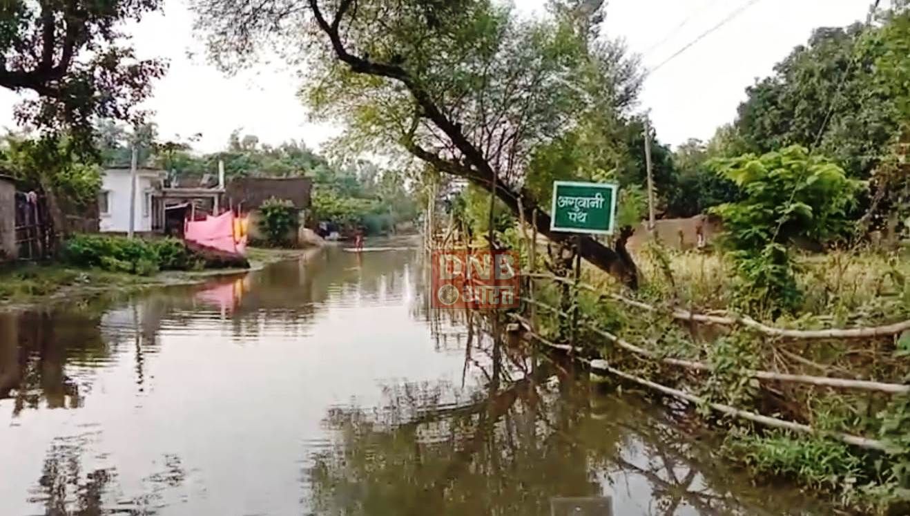 खगड़िया: डुमरिया बुजुर्ग के पंसस के घर के सामने भीषण जलजमाव,लोगों के बीच डेंगू फैलने का खतरा, आवागमन में आम लोगों को हो रही है परेशानी 4