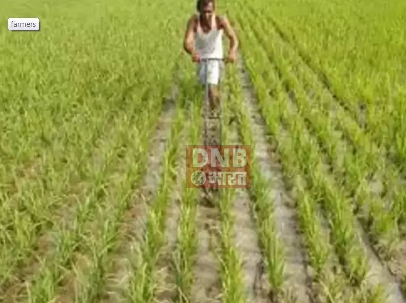 बेगूसराय जिला में 595 एकड़ भूमि में किया गया है जलवायु अनुकूल खेती 2