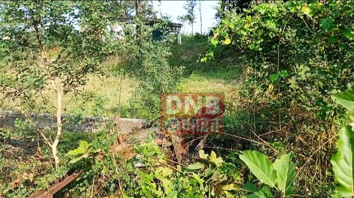 वीरपुर प्रखंड में किसान पस्त पदाधिकारी और जनप्रतिनिधि मस्त 4