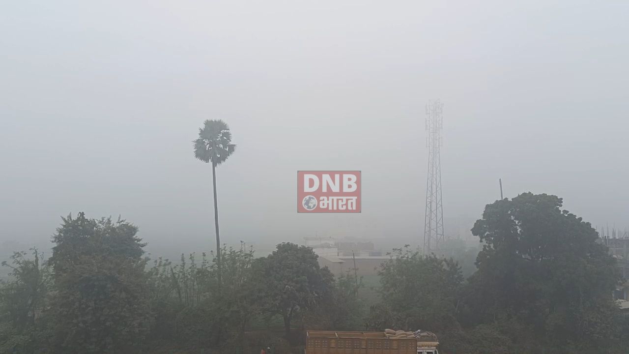 नालंदा : नववर्ष के पूर्व जिले में सुबह से छाया घना कुहरा, ठंड से आम जन जीवन हुआ अस्त व्यस्त 3