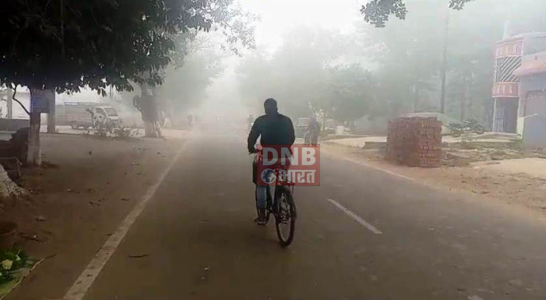 नालंदा: पछुआ हवा के कारण नालंदा जिले में कड़ाके की ठंड से आम जनजीवन हुआ प्रभावित, सड़क किनारे लकड़ी चुनकर अलाव जलाने को मजबूर हुए लोग 2