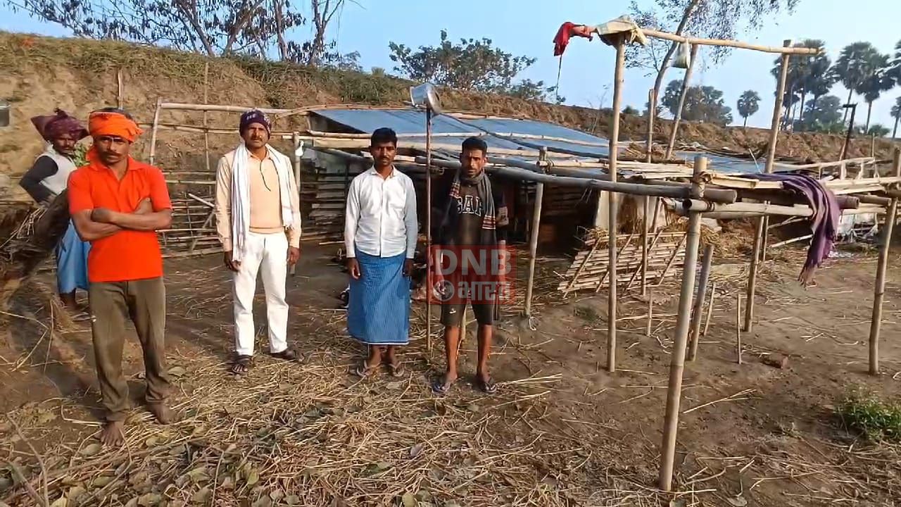 नालंदा: दर्जन की संख्या में जंगली जानवर ने गांव में मचाया उत्पात।चालीस बकरी को उतारा मौत के घाट, बकरी पालकों ने सरकार से लगाई मदद की गुहार 3