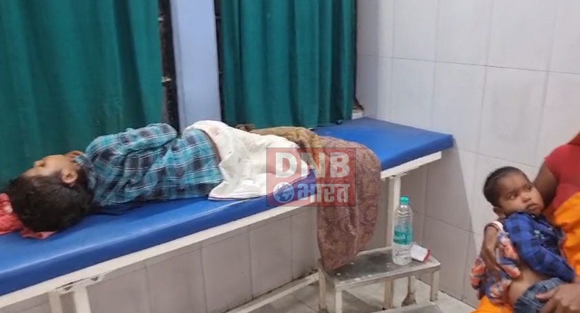 समस्तीपुर: आदमखोर पागल कुत्ते ने 15 बच्चों को काटकर किया जख्मी 2