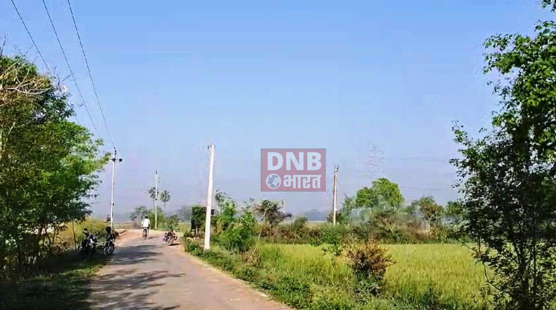 नालंदा: अज्ञात चोरों ने तीन किलोमीटर 440 विद्युत तार काटकर किया चोरी,आधे दर्जन गांव में उत्पन्न हुआ बिजली की समस्या, किसानों को पटवन में भी हुई समस्या 2