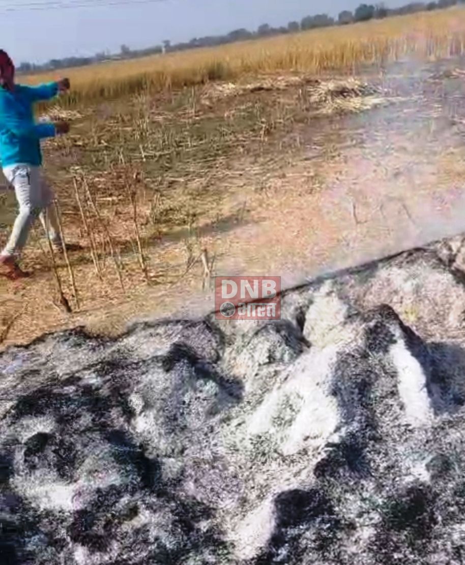 बरौनी में फसल अवशेष जलाने के दौरान लगी भीषण आग, पुलिस एवं फायर ब्रिगेड स्टेशन के तत्परता से जलने से बची 500 एकड़ भूमि में लगी फ़सल 2