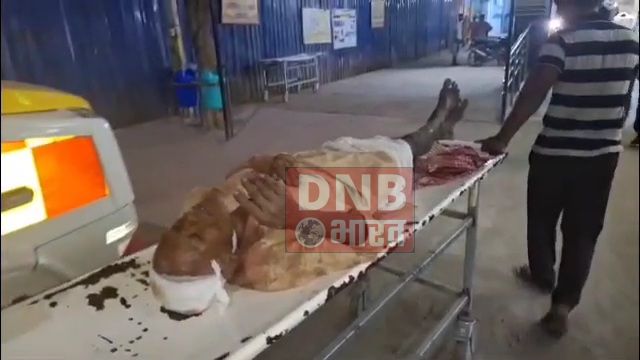 बेगूसराय में कलयुगी दामाद ने दहेज की मांग को लेकर अपने ससुर एवं दो साले को पीट-पीटकर अधमरा, सदर अस्पताल में भर्ती 2