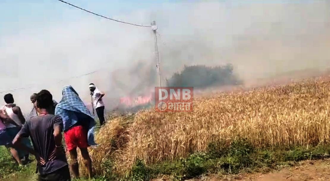 नालंदा: बिजली की चिंगारी से खेतों में लगे गेहूं की फसल में लगी आग, लाखों रुपए का हुआ नुकसान 3