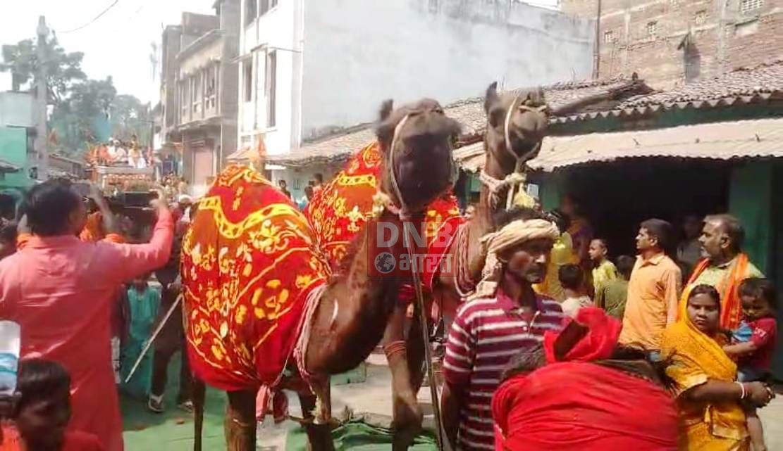 भव्य कलश शोभा यात्रा के साथ प्रारंभ हुआ मां विषहरी मूर्ति प्राण प्रतिष्ठा सत चंडी महायज्ञ 4