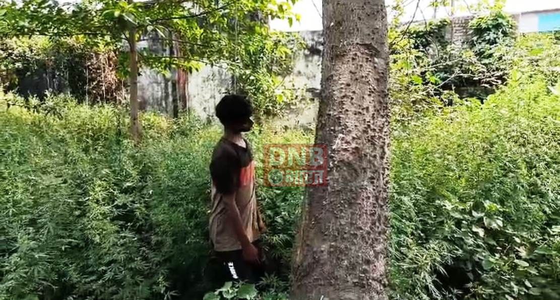 समस्तीपुर: रेलवे कॉलोनी में झाड़ियों के बीच पेड़ से एक अज्ञात युवक का फंदे से लटका शव बरामद, इलाके में सनसनी 2