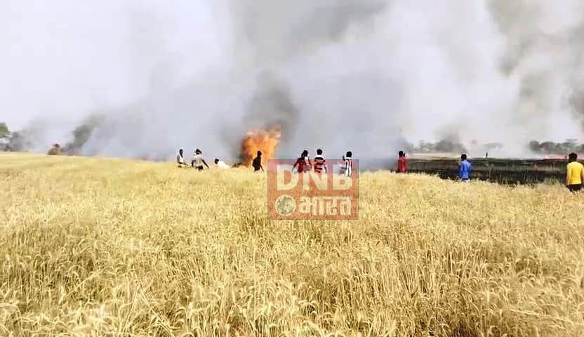 नालंदा: खंधे में आग लगने से 20 से 25 बीघा में लगे गेहूं की फसल जलकर हुआ खाक, बीड़ी सिगरेट के चिंगारी के कारण आग लगने की आशंका 2