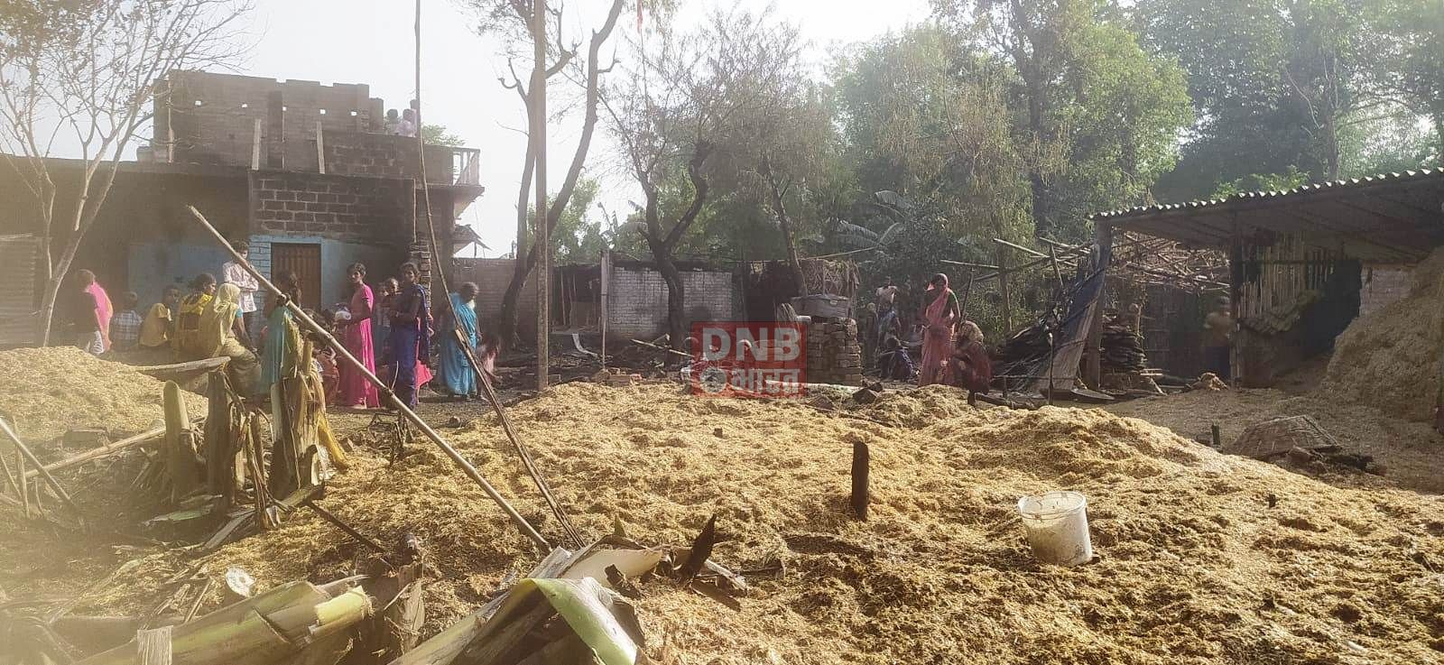 आग लगने से आधा दर्जन घर समेत लाखो रुपये के सामान जलकर नष्ट, एक मवेशी भी झुलसे 3