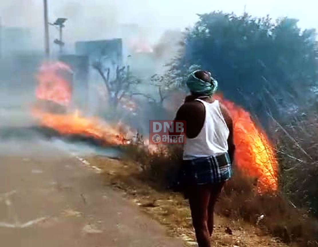 नालंदा: खेतो में जलाए गए पराली की चिंगारी से एक दर्जन घरों में लगी आग, आग से झुलसकर तीन मवेशी की मौत 3