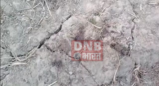 बेगूसराय में अपराधियों ने एक युवक निर्मम तरीके हत्या कर खेत मे रखे गोबर के ढेर में दफनाया, इलाके में मचा हड़कंप 4