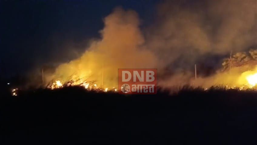 बछवाड़ा के बहियार में बिजली की शोर्ट सर्किट से लगी आग में खेत में लगा खरही जलकर राख 3