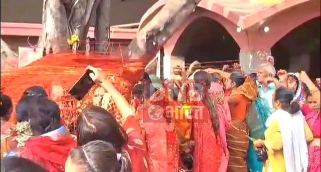 बेगूसराय में बट सावित्री व्रत को लेकर सुहागिन महिला ने बट वृक्ष का किया पूजा 3