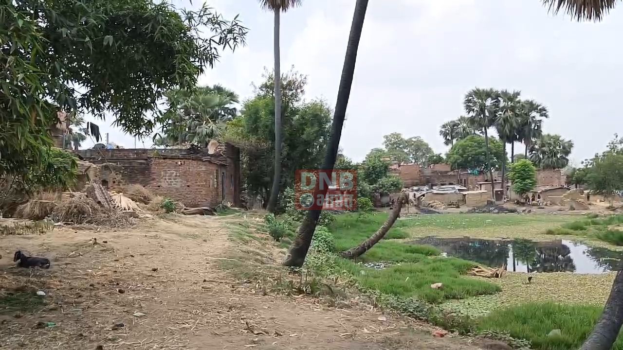नालंदा: भीषण गर्मी में पानी की किल्लत से लोग परेशान, दर दर भटकने को मजबूर ग्रामीण 3