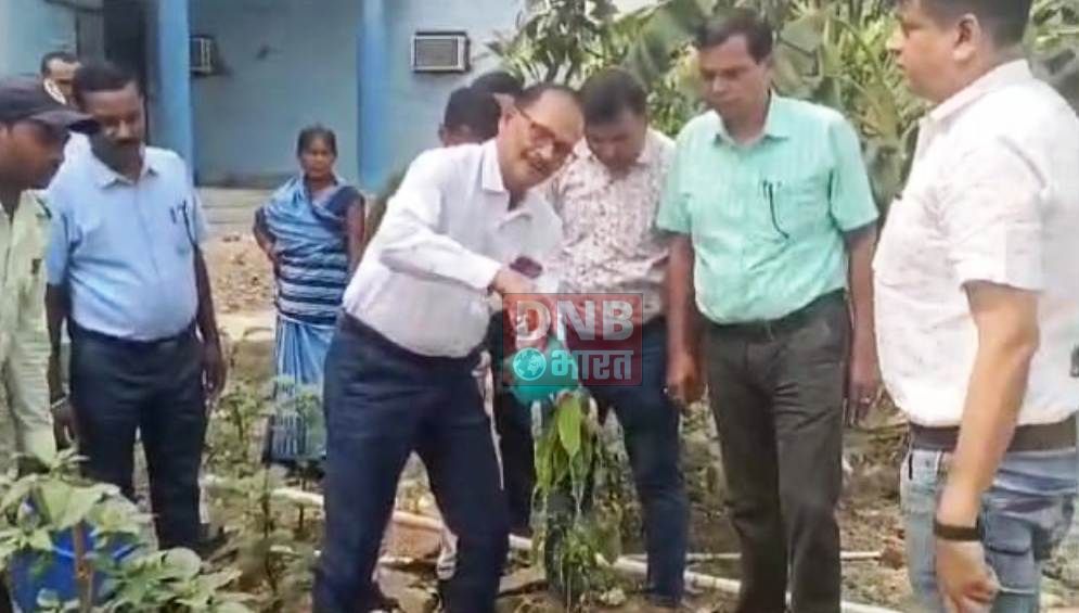 सिविल सर्जन समेत चिकित्सकों ने वृक्षारोपण कर विश्व पर्यावरण दिवस मनाया 2
