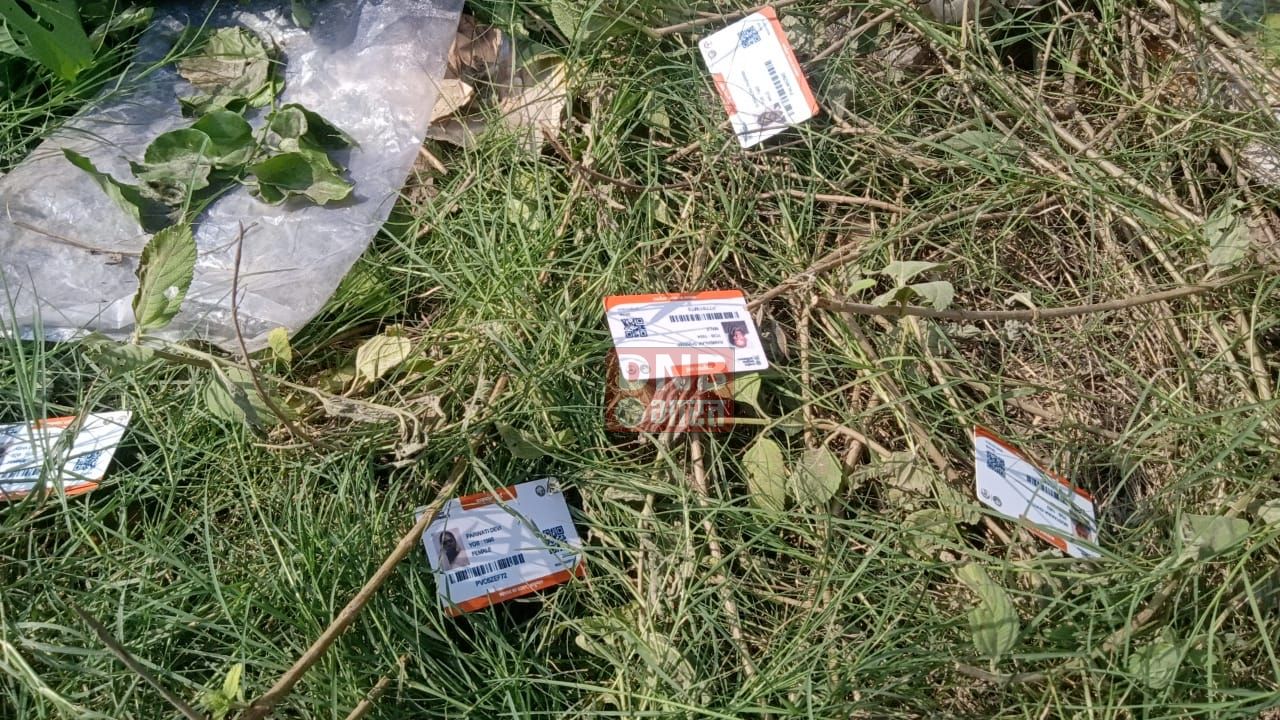 बछवाड़ा में सड़क के किनारे कचड़े में फेका मिला सैकड़ो  आयुष्मान कार्ड 4
