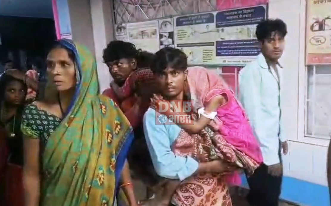 बेगूसराय में खूंखार कुत्ता ने दो दर्जन से अधिक लोगों को काटकर किया घायल, घायलों में महिला-पुरुष सहित बच्चे भी शामिल 3