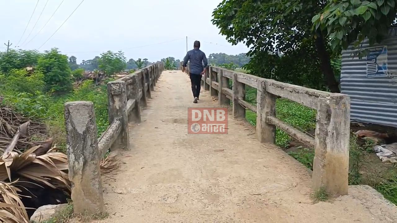 नालंदा: रहूई प्रखंड के इतासंग पंचायत के शेरपुर गांव में बना पुलिया की हालत जर्जर, हजारों लोग जान जोखिम में डालर करते है पुलिया का इस्तेमाल 3