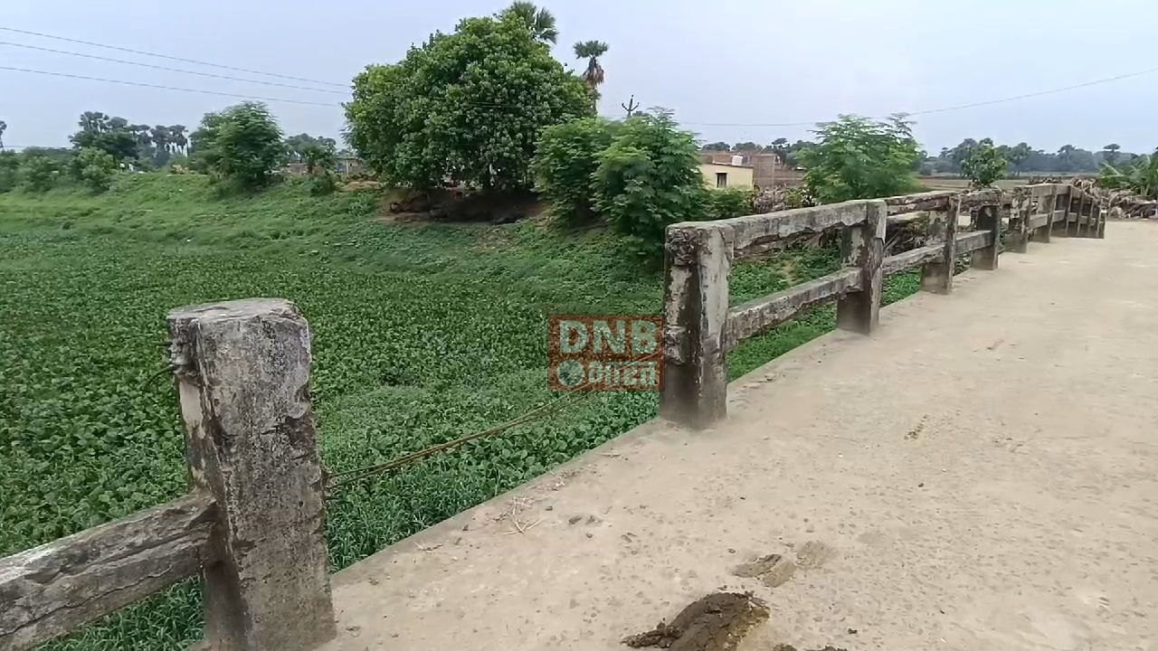 नालंदा: रहूई प्रखंड के इतासंग पंचायत के शेरपुर गांव में बना पुलिया की हालत जर्जर, हजारों लोग जान जोखिम में डालर करते है पुलिया का इस्तेमाल 4