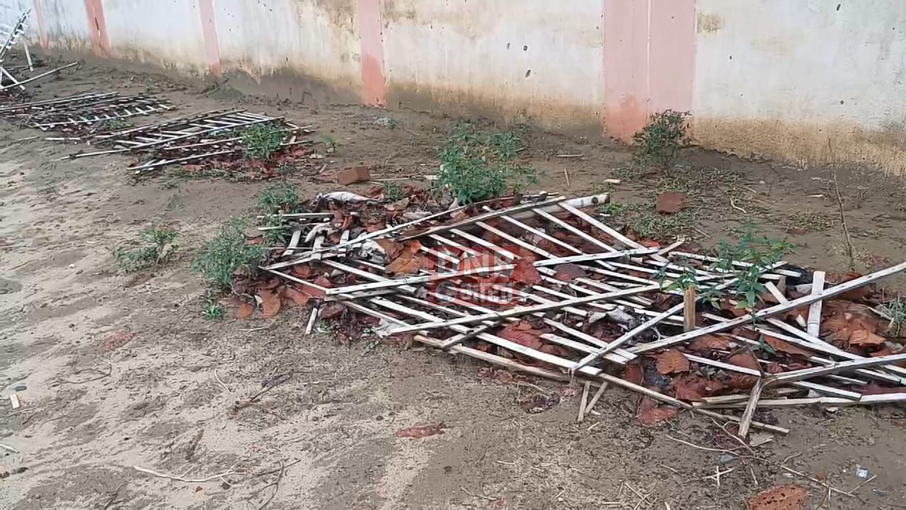नालंदा: मनरेगा योजना के तहत गैबी स्टेडियम के चारो तरफ और पंचाने नदी के किनारे 12 लाख रुपए खर्च कर लगाए गए पेड़, पेड़ की जगह नजर आ रही है सिर्फ पट्टियाँ 2