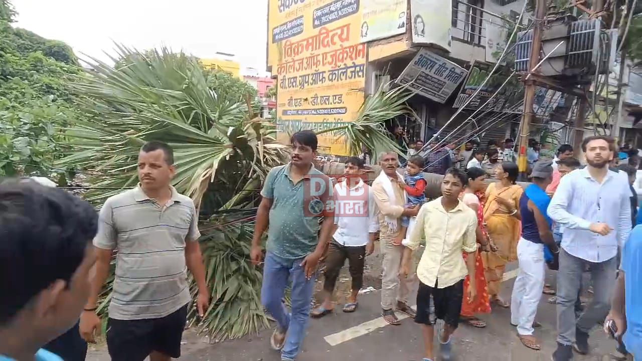 नालंदा: लगातार तेज आंधी और तूफान के कारण विशाल तार का पेड़ मोटरसाइकिल सवार दो युवकों पर गिरा, दोनों युवक की मौके पर हुई मौत 3