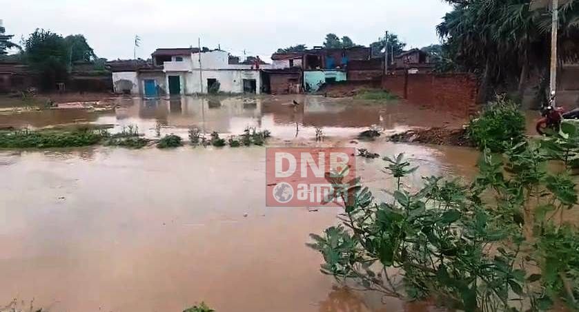 लगातार बारिश के कारण अचानक लोकायन नदी में बढ़ा जलस्तर, हिलसा के राढी छिलका के पास तटबंध टूटने से बेलदार बीघा गांव में घुसा पानी 2