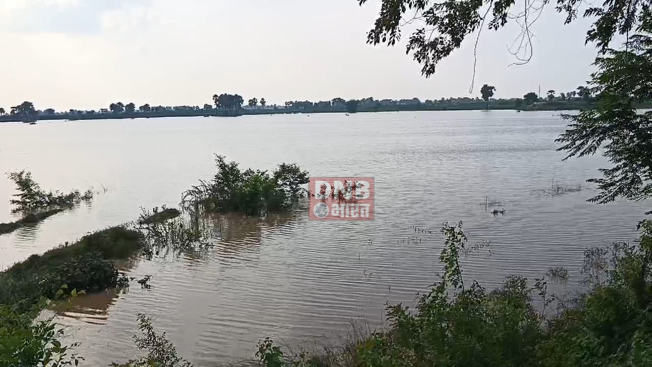 नालंदा: ग्रामीण कार्य विभाग से बने सड़क हुआ ध्वस्त, दो करोड़ की लागत से बना था सड़क 3