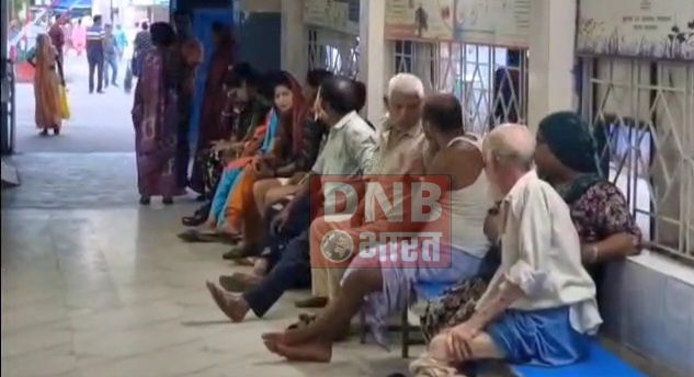 बेगूसराय में आवारा कुत्तों ने करीब 25 लोगों को बनाया अपना शिकार, सभी का इलाज सदर अस्पताल बेगूसराय में चल रहा है 2